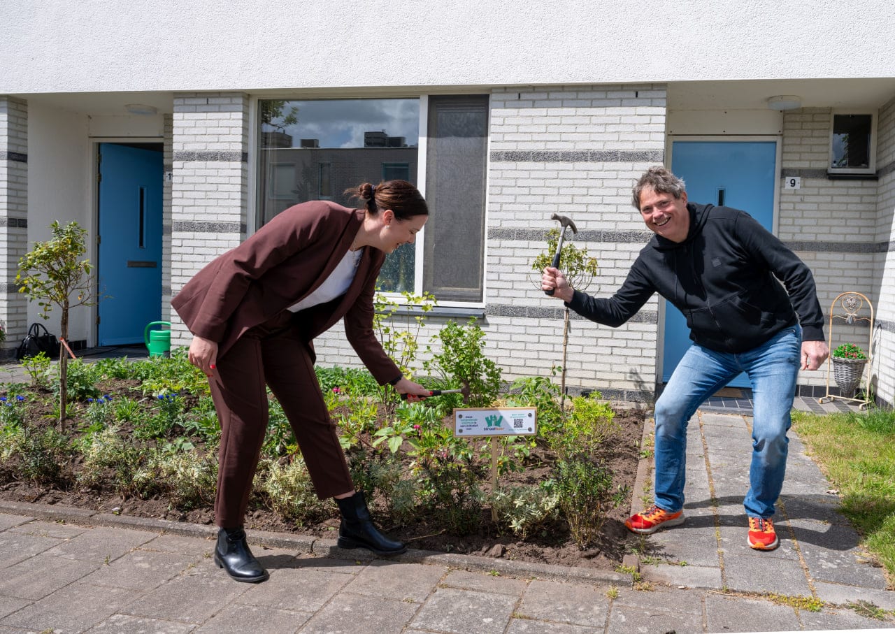 Gemeente Groningen en woningcorporaties vergroenen 75 versteende voortuinen
