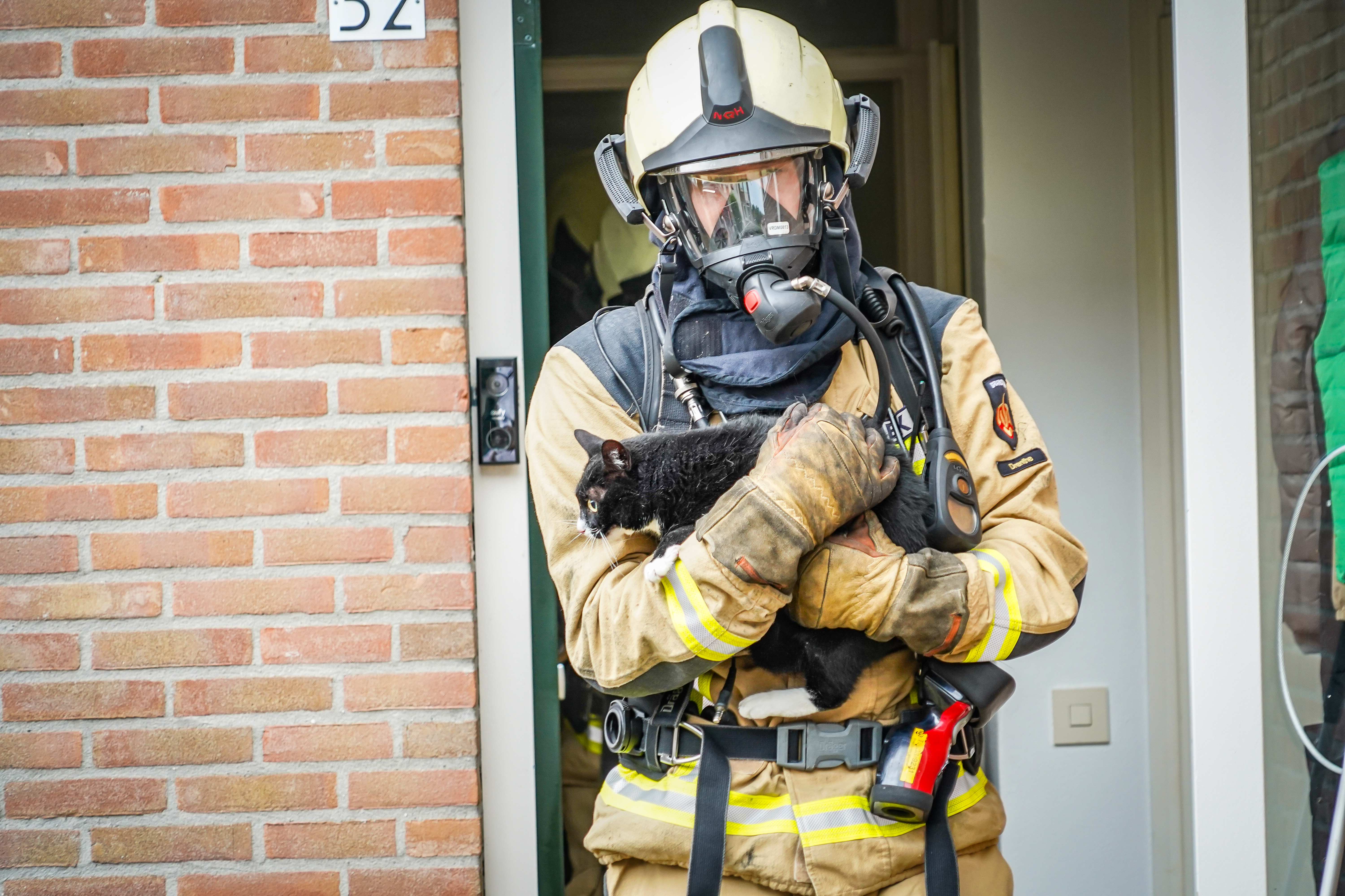 Kat gered tijdens woningbrand in Meppel