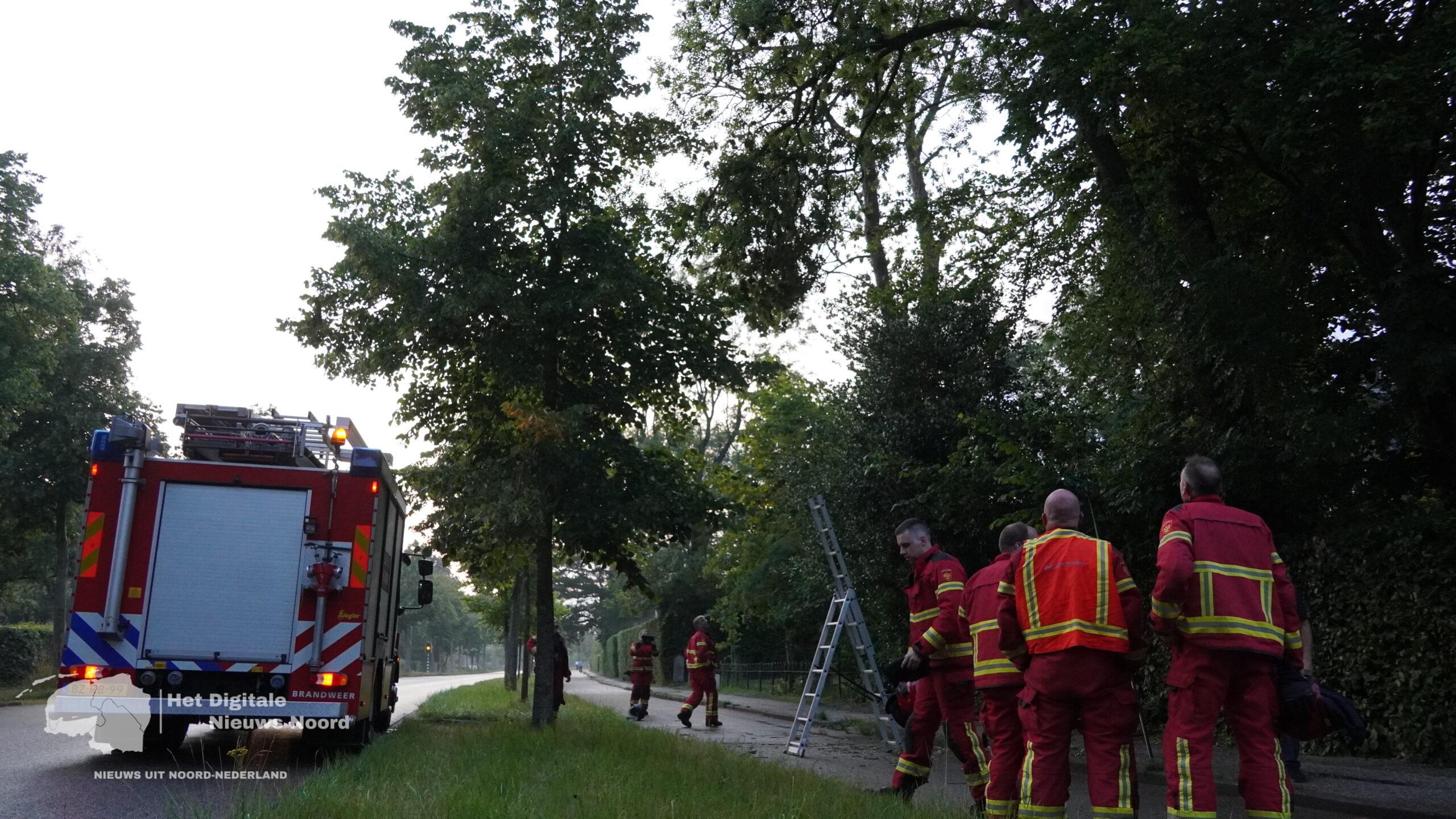 Brandweer verwijdert loshangende tak boven fietspad in Haren