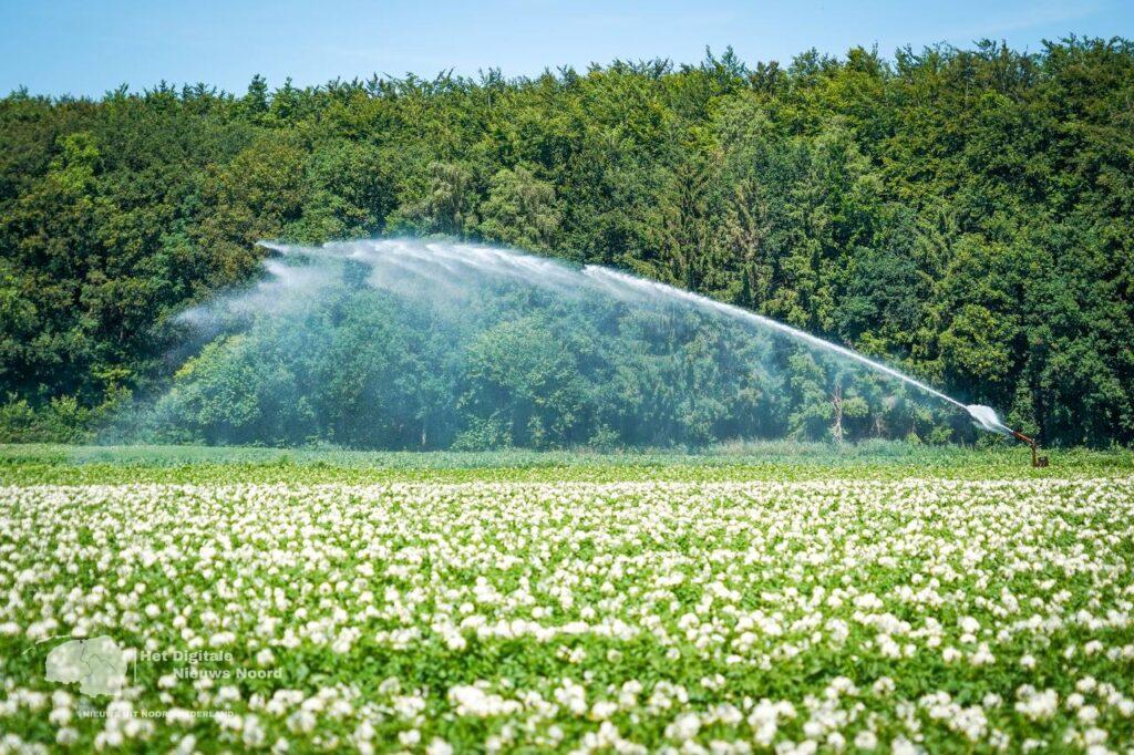 Zomervakantie weerbericht: tropische temperaturen