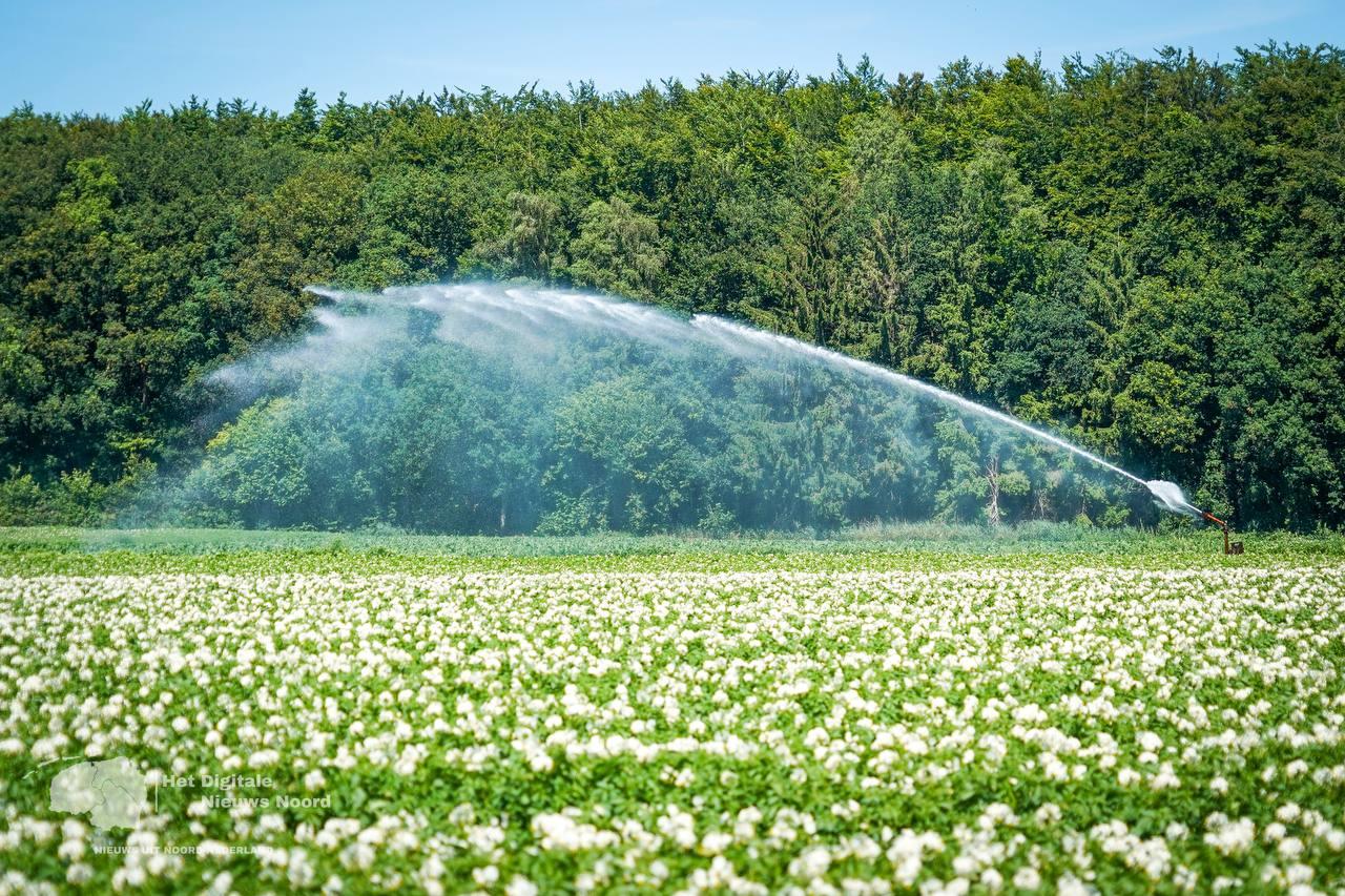 Tropische hitte in aantocht: temperaturen richting 39 graden, daarna afkoeling met buien