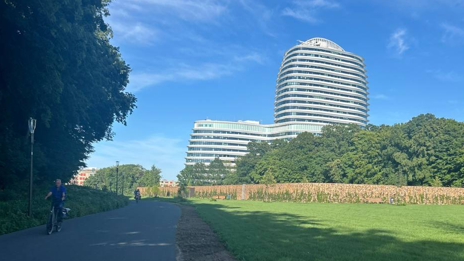 Weersverwachting: aangename zomerweer