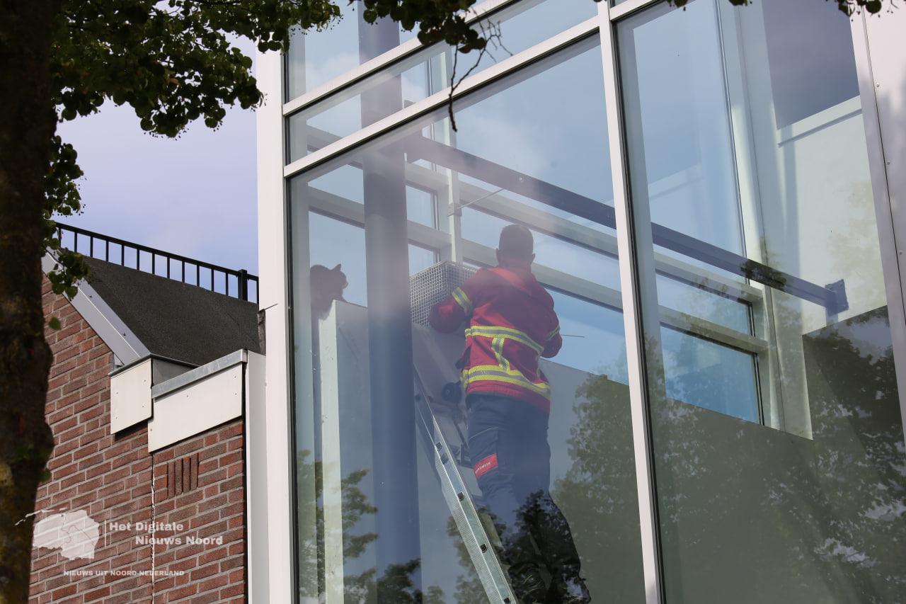 Kat gered door brandweer uit hal appartementencomplex aan Almastraat Groningen
